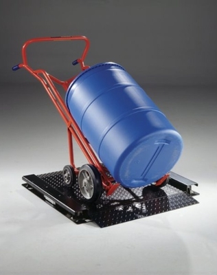 Endüstriyel Zemin Kantarı 2888P-MS 0.5K | Tartım için 24x24 Platform ve 5ft Kablo