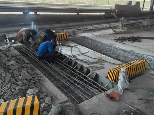 Taşınabilir Dinamik Dingil, Standart Dinamik Denetleyicili Tartı