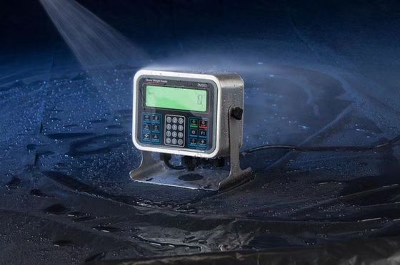 Endüstriyel Avery Tronix Yıkama Tezgahı Kantarı I69K IP Sınıfı 30x40CM Platform