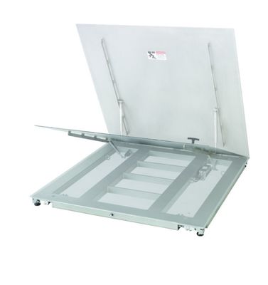 Endüstriyel Asansör Zemin Ölçeği PFA779lift-DS300A - Kolay bakım erişimi ile dayanıklı platform